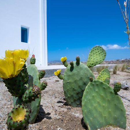 Lilly Villa By Bestofmikonos Ornós Eksteriør bilde