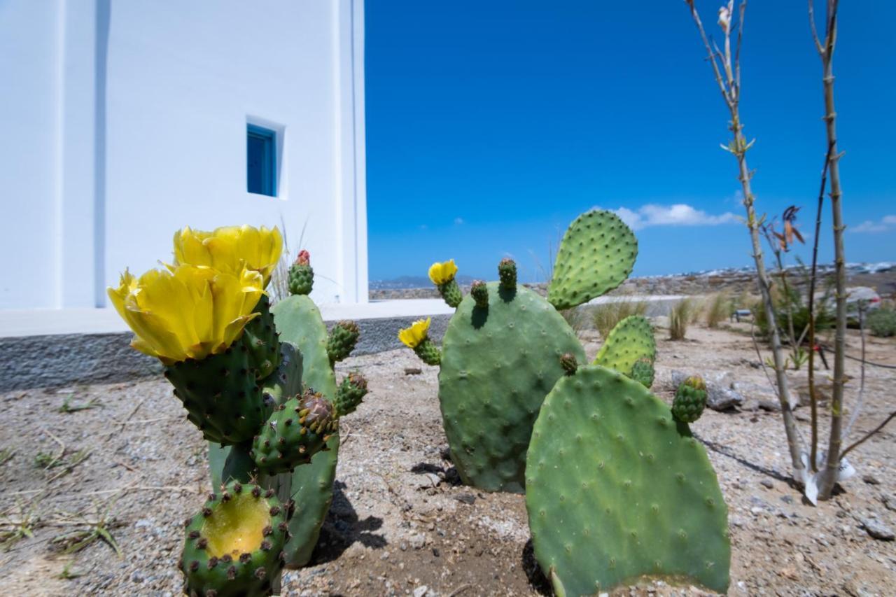 Lilly Villa By Bestofmikonos Ornós Eksteriør bilde